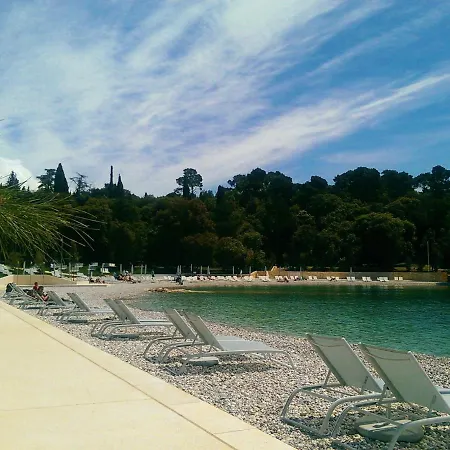 Holiday Roko - Roj408
